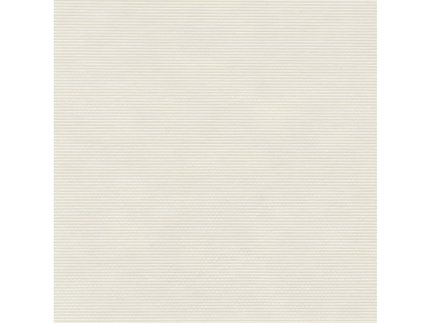 Toldo lateral retráctil crema 220x500 cm