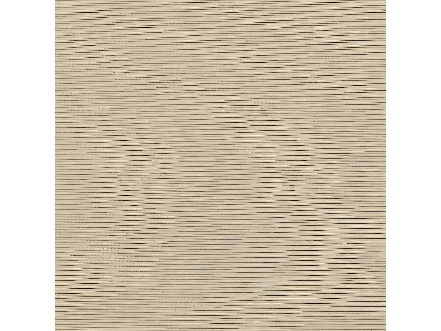 Toldo lateral retráctil beige 220x500 cm