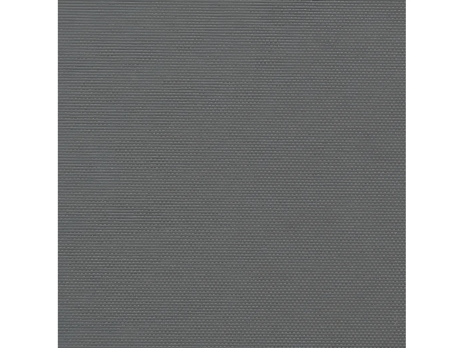 Auvent latéral rétractable anthracite 180x500 cm