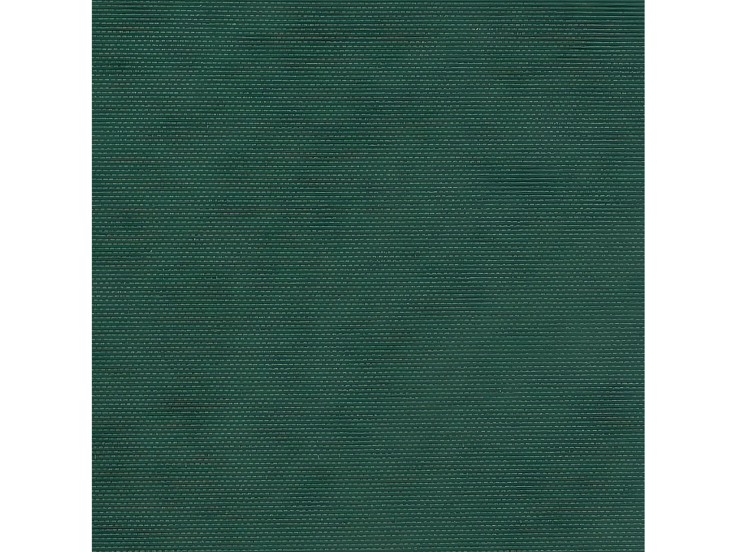 Auvent latéral rétractable vert foncé 160x500 cm