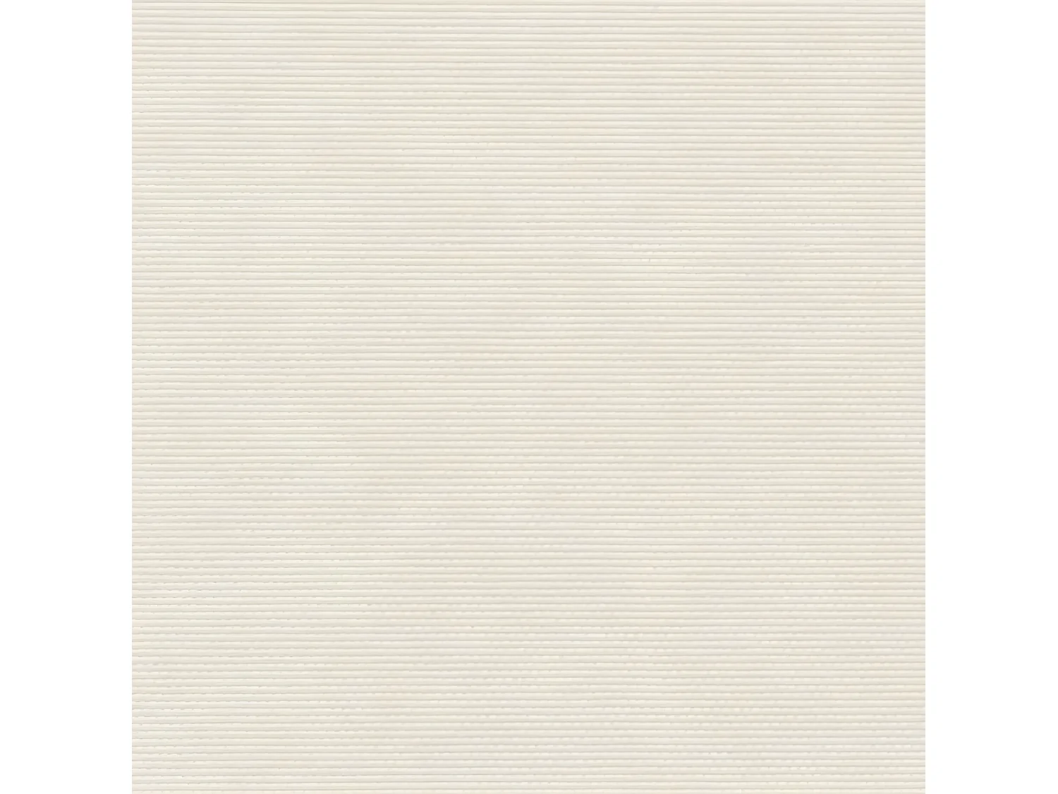 Auvent latéral rétractable crème 160x500 cm