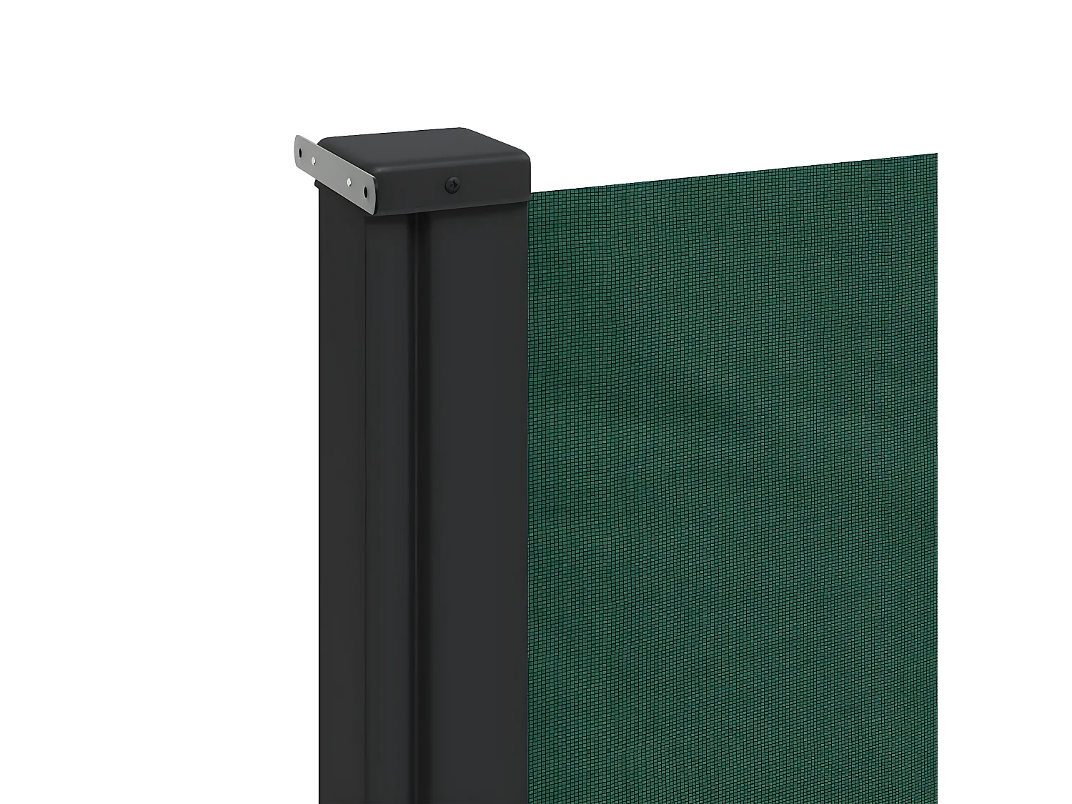 Toldo lateral retráctil verde oscuro 180x300 cm
