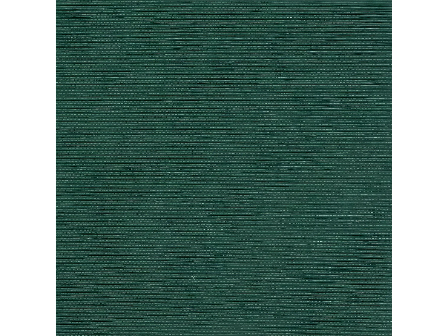 Toldo lateral retráctil verde oscuro 180x300 cm