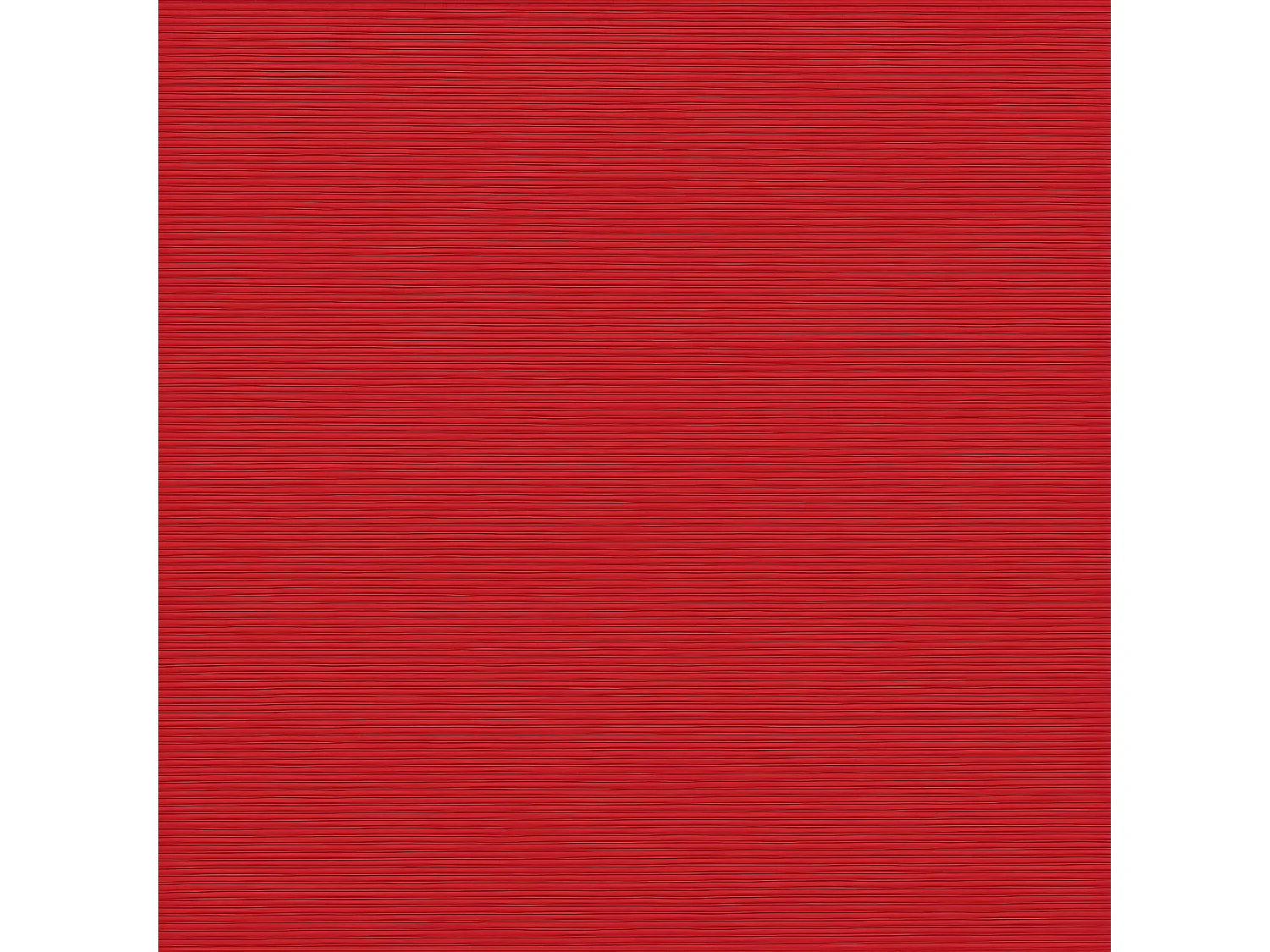Auvent latéral rétractable rouge 220x600 cm