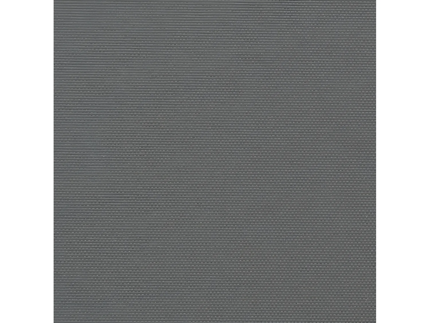 Toldo lateral retráctil gris antracita 220x600 cm