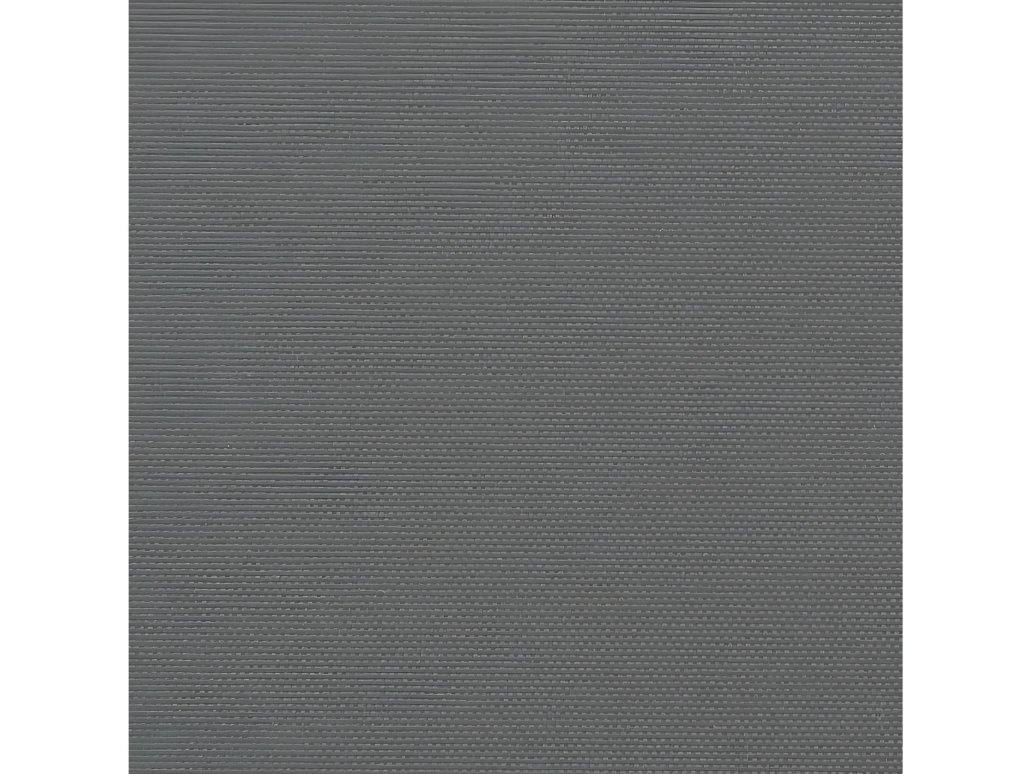 Toldo lateral retráctil gris antracita 220x600 cm