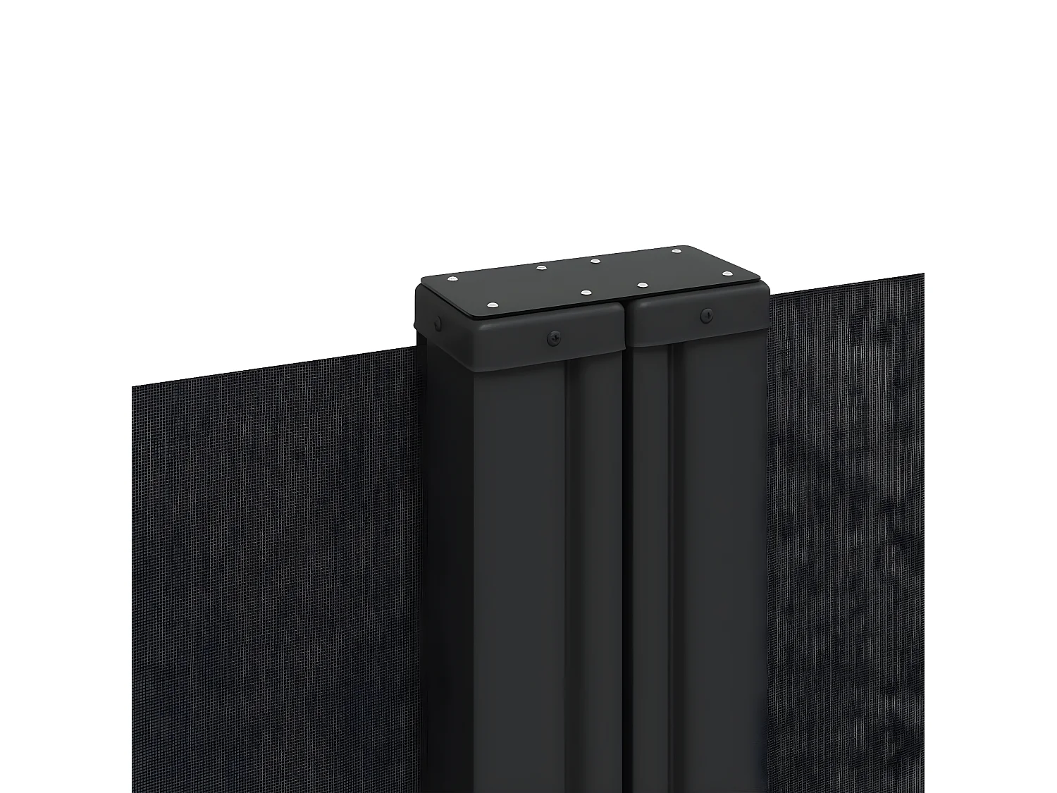 Auvent latéral rétractable noir 220x600 cm