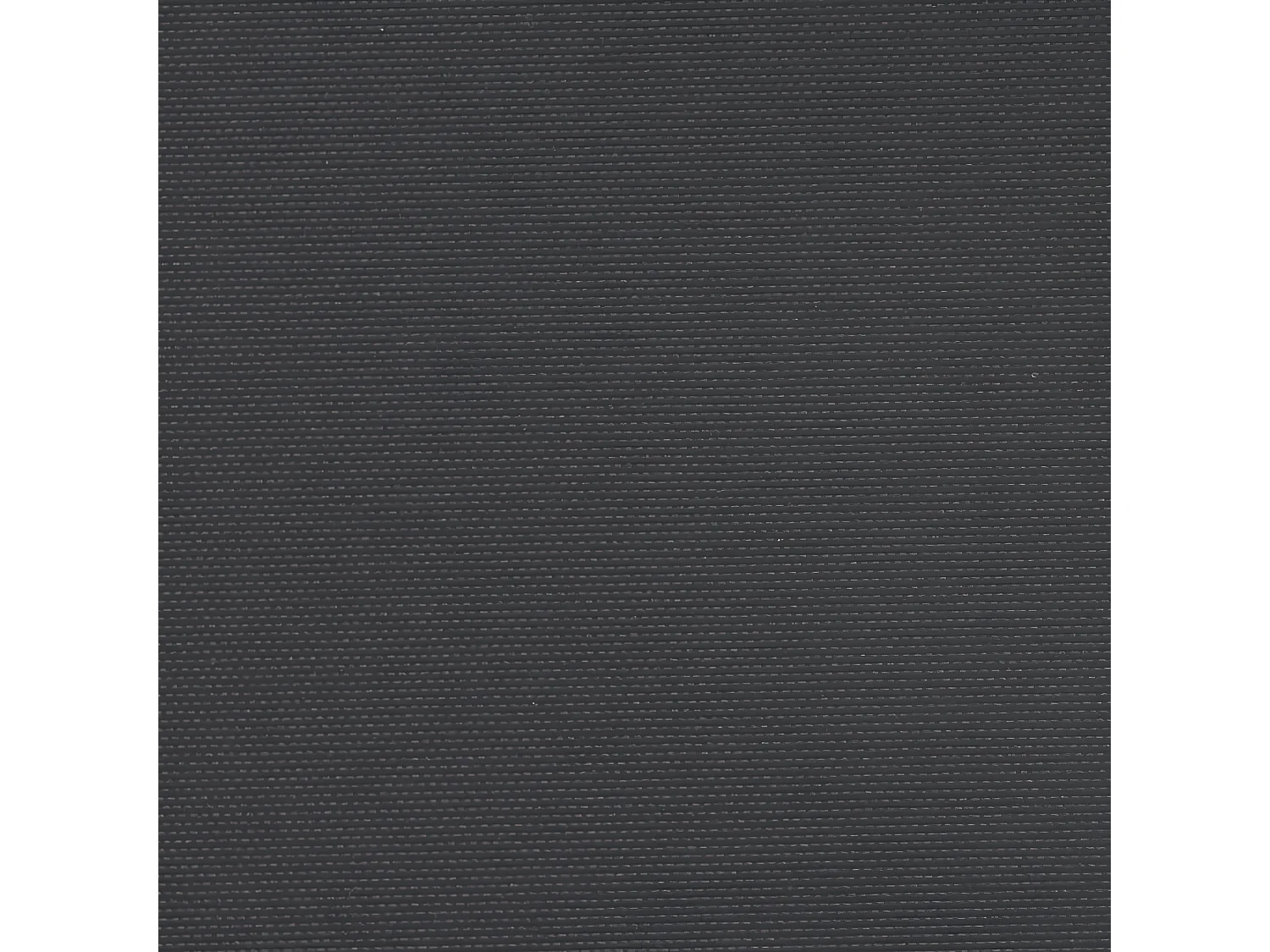 Auvent latéral rétractable noir 220x600 cm