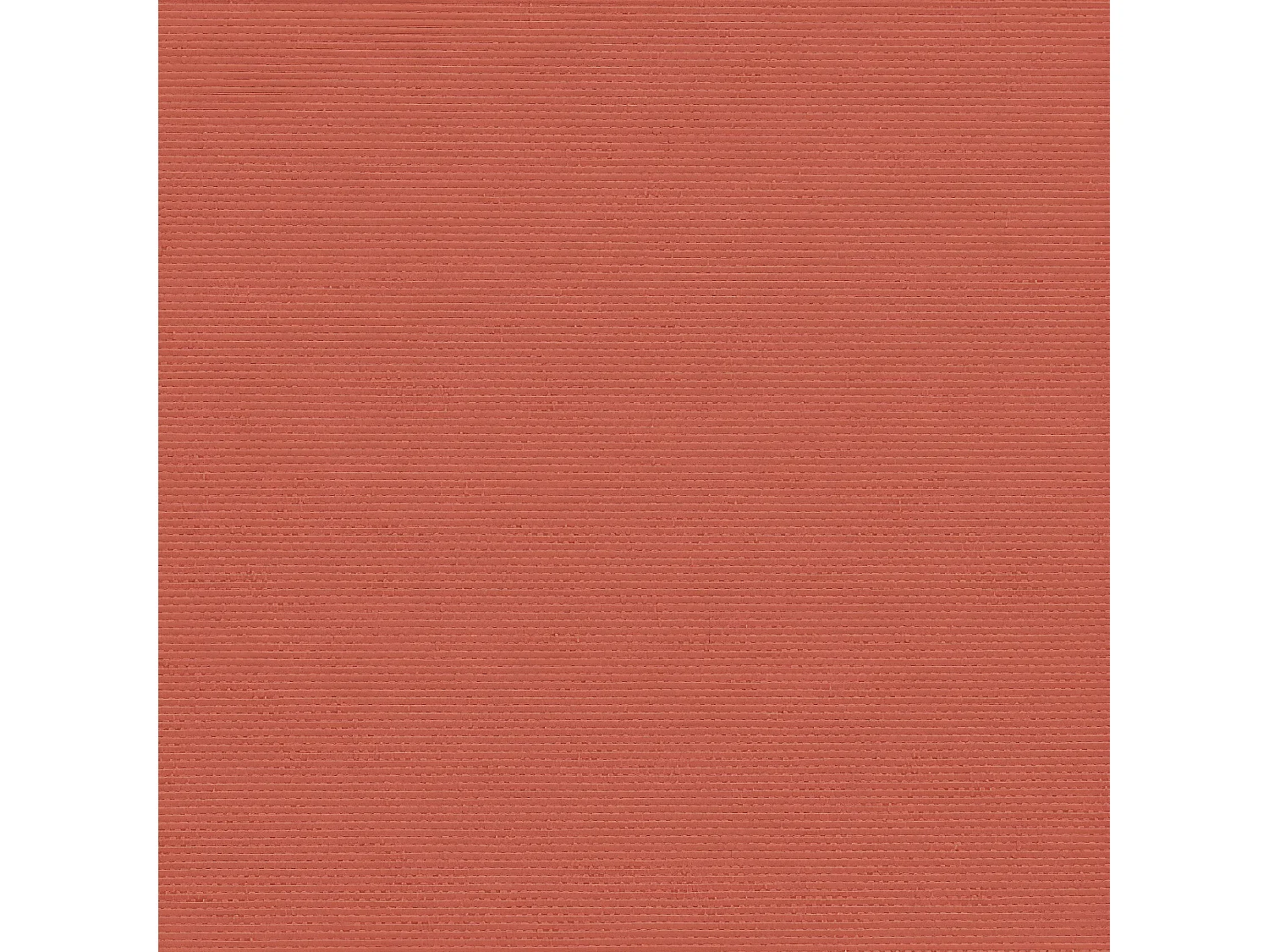 Auvent latéral rétractable terre cuite 220x600 cm