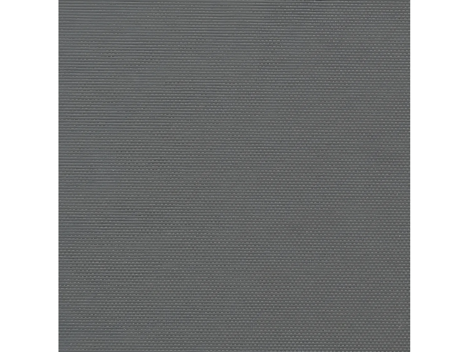 Auvent latéral rétractable anthracite 200x600 cm
