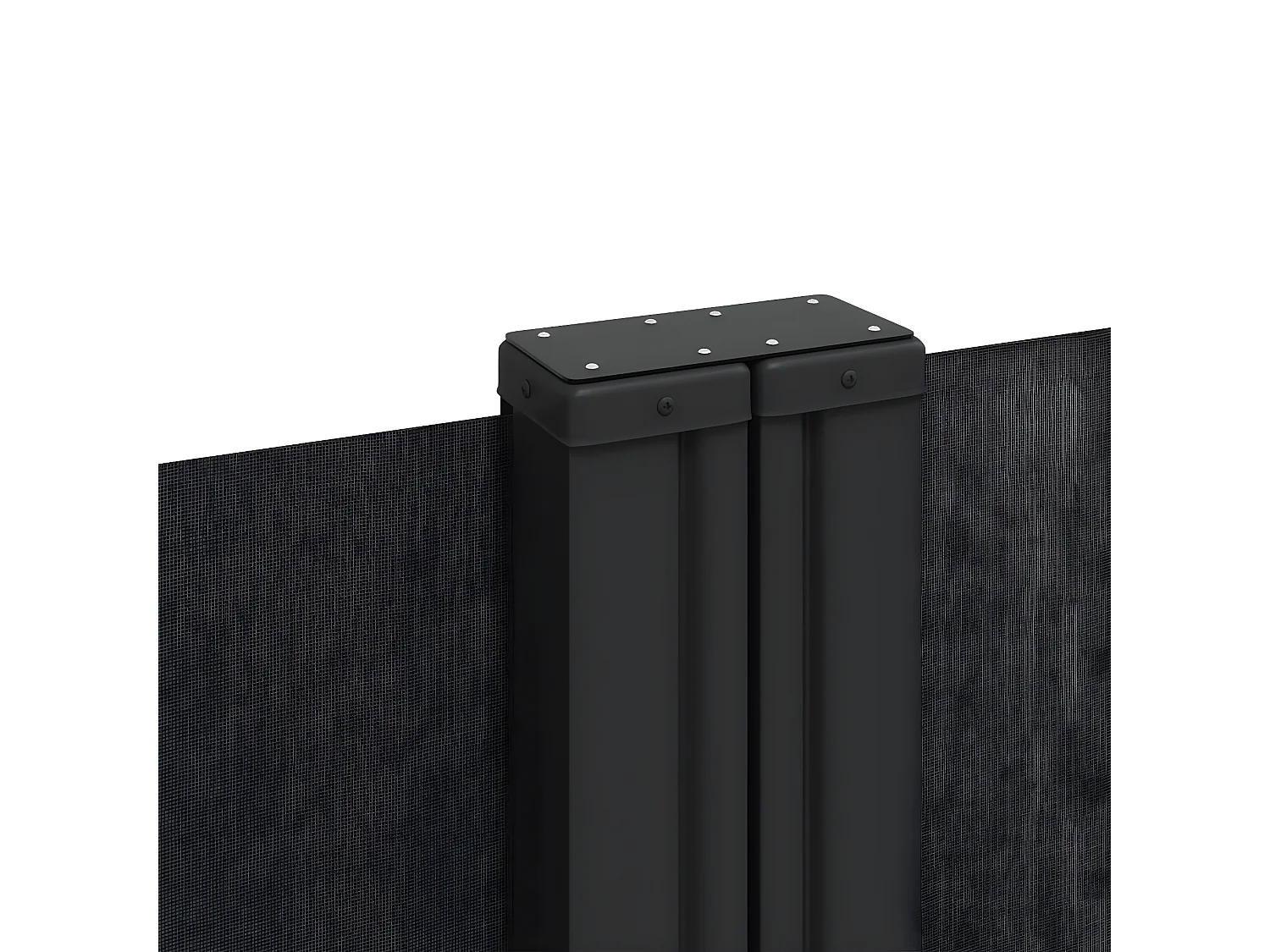 Auvent latéral rétractable noir 220x600 cm