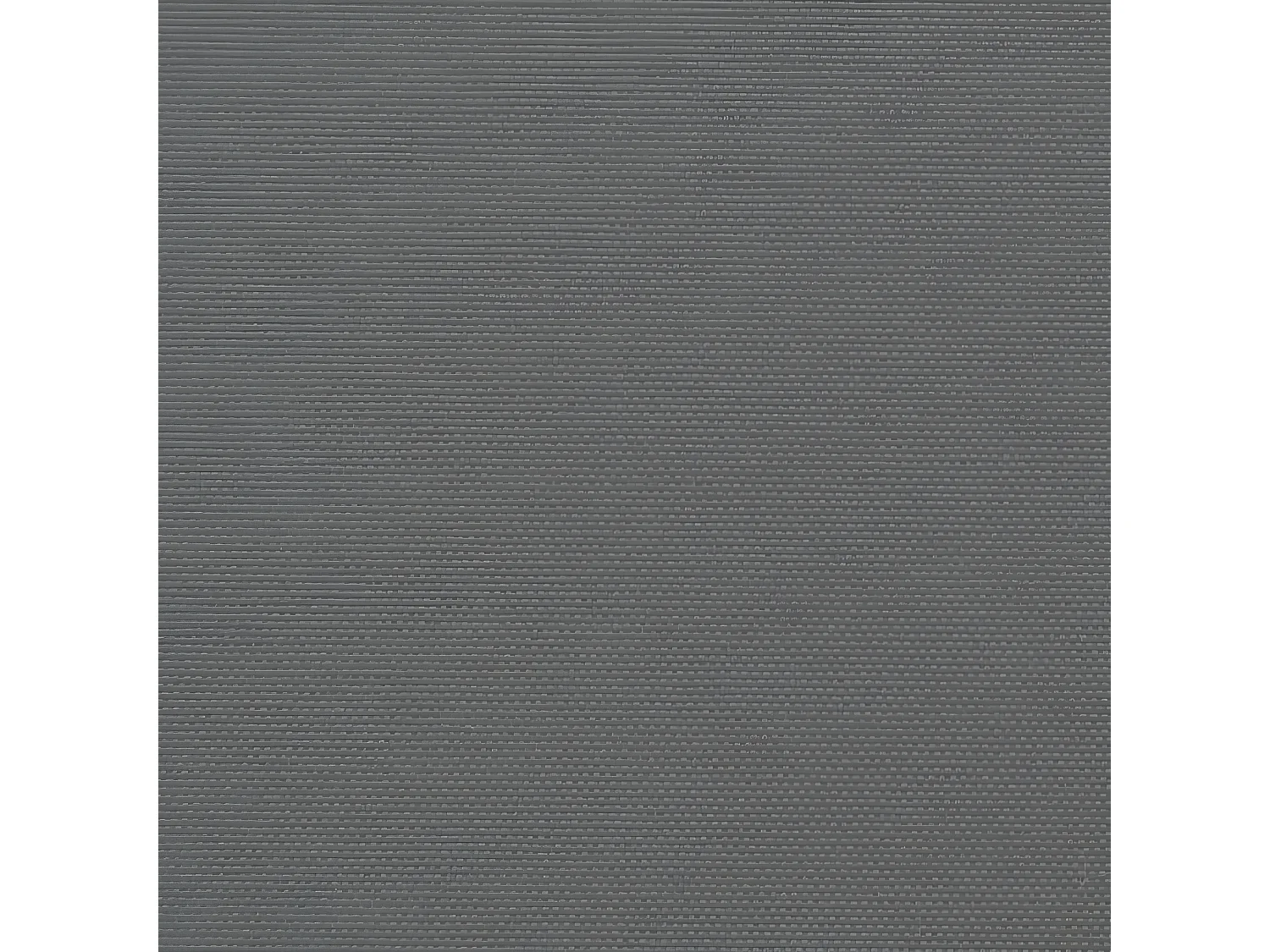 Auvent latéral rétractable anthracite 100x300 cm
