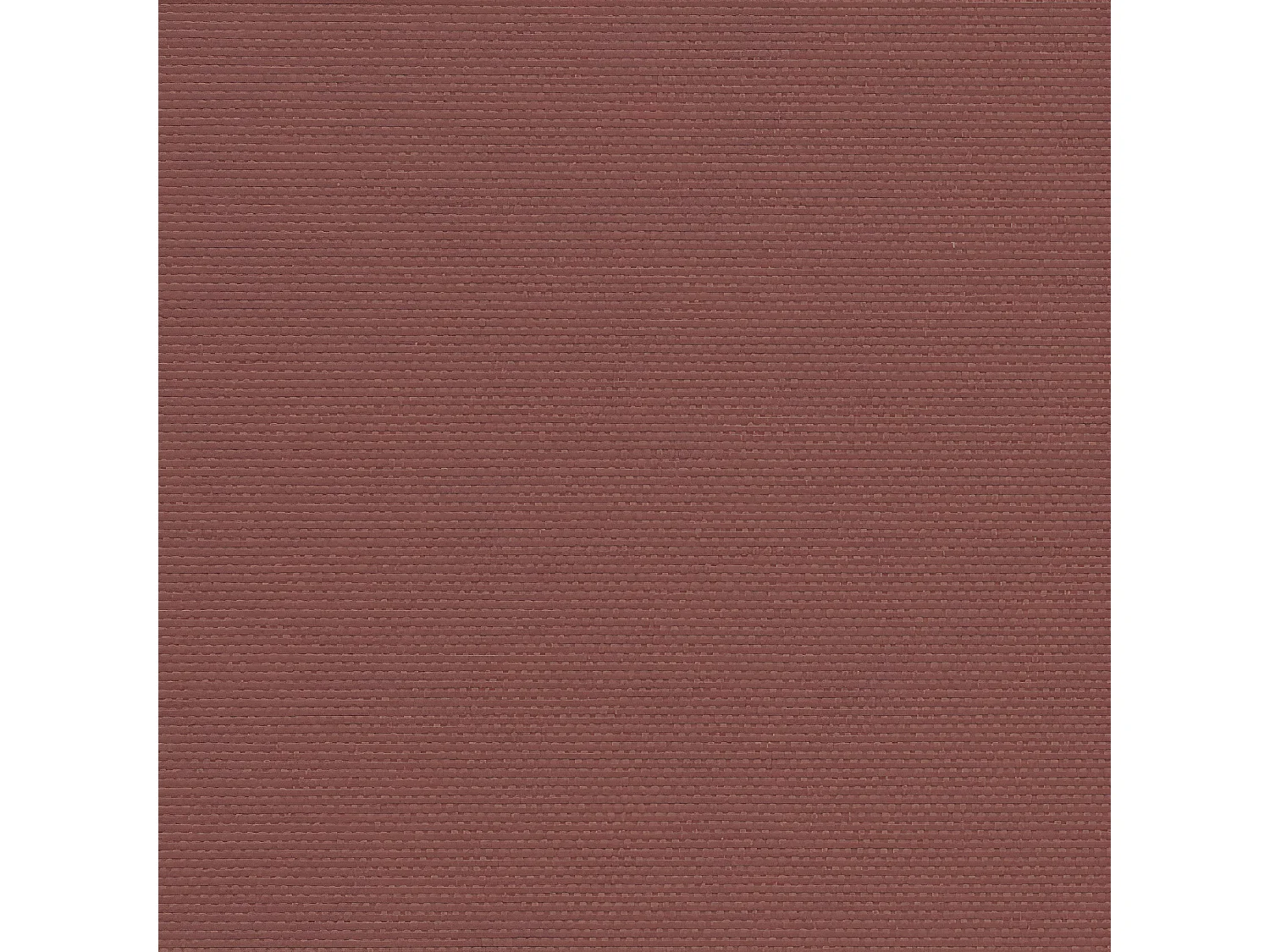 Auvent latéral rétractable marron 100x300 cm