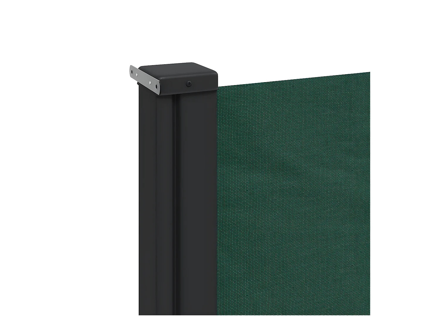 Auvent latéral rétractable vert foncé 100x300 cm