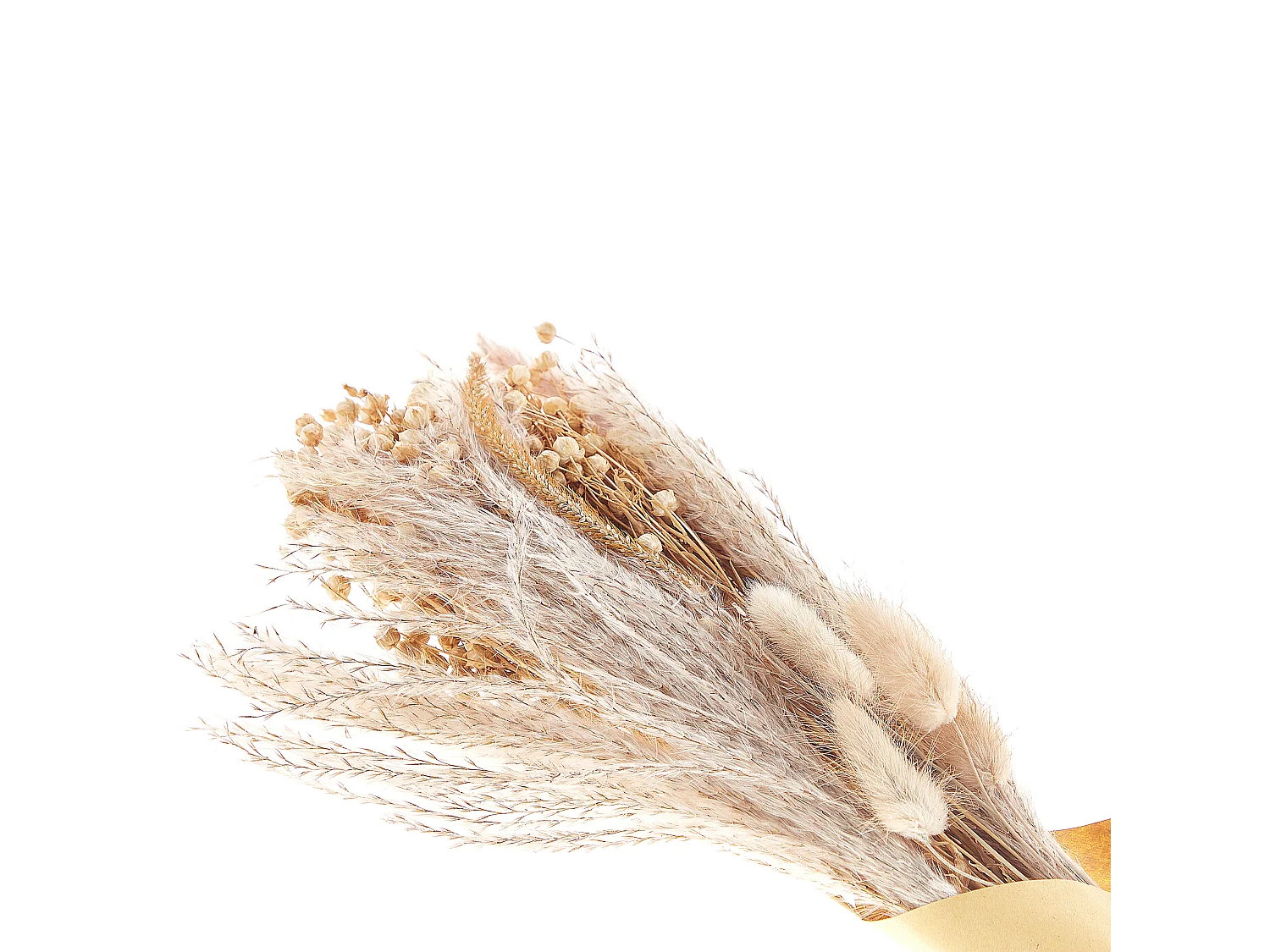 Bukiet suszonych kwiatów 52 cm naturalny CABRA