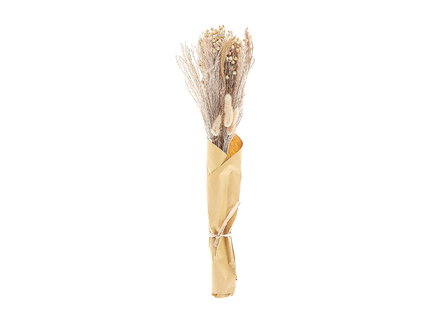 Bouquet de fleurs séchées 52 cm naturel CABRA