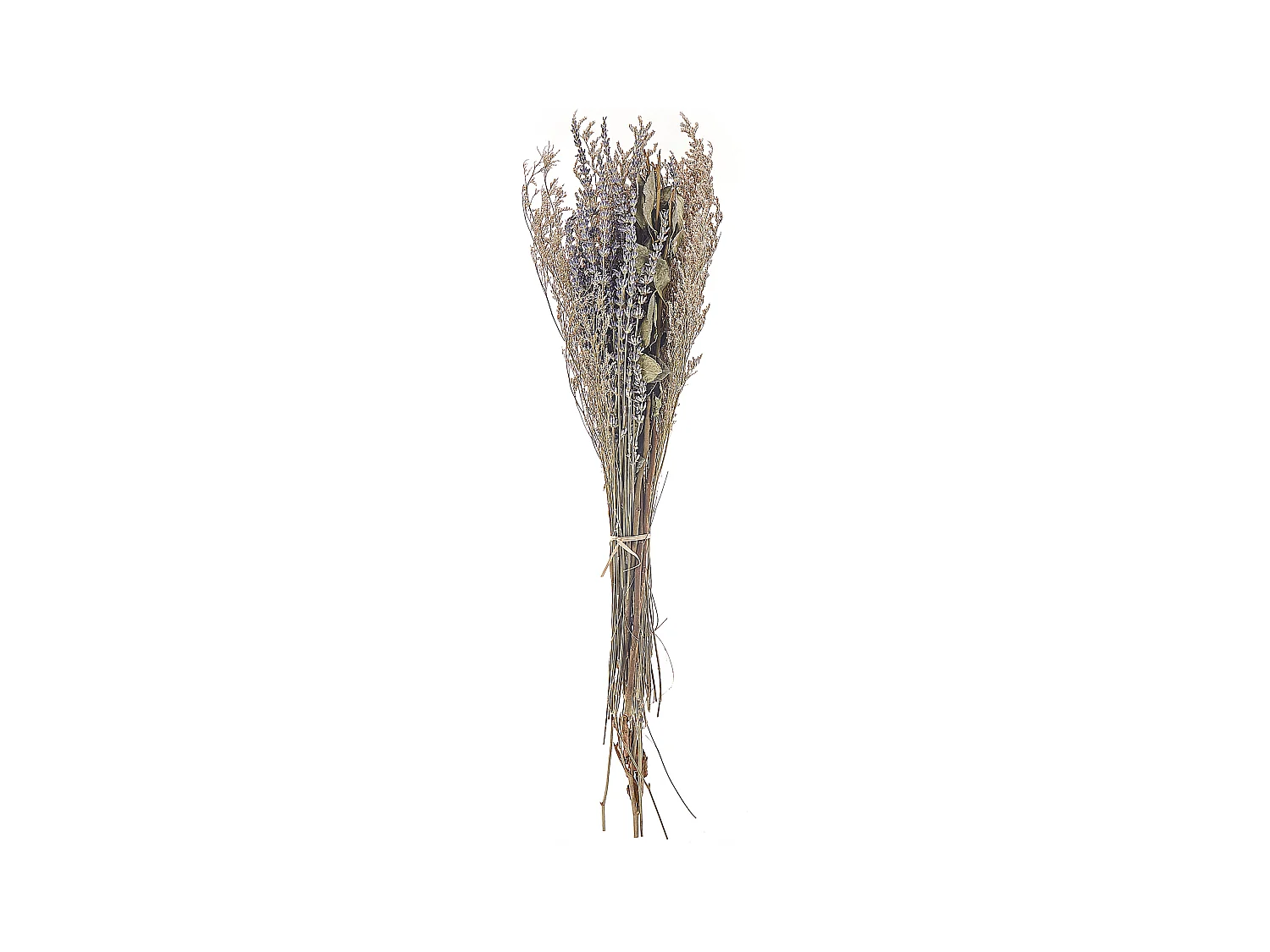 Bouquet de fleurs séchées NAWARRA 70 cm Naturel