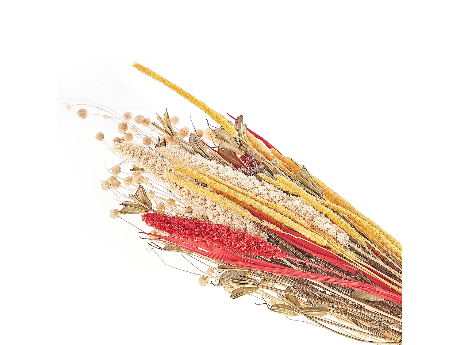 Droogbloemen boeket 65 cm rood en geel PAMPELUNA