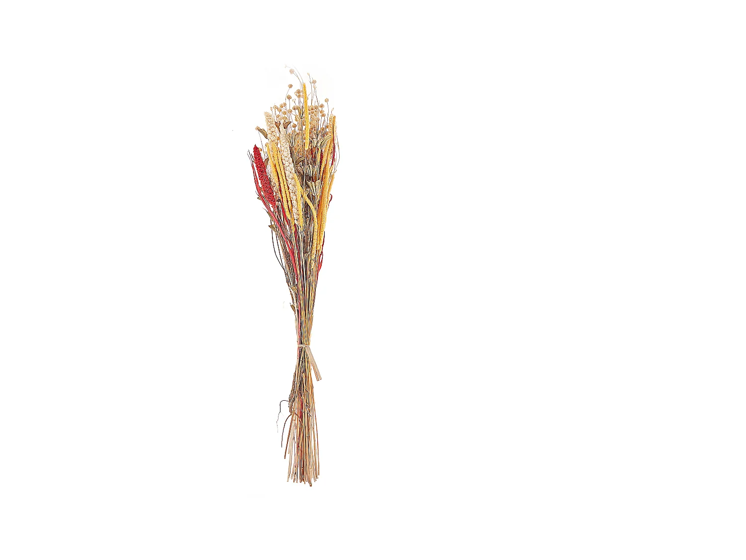 Bouquet de fleurs séchées PAMPELUNA 65 cm Naturel