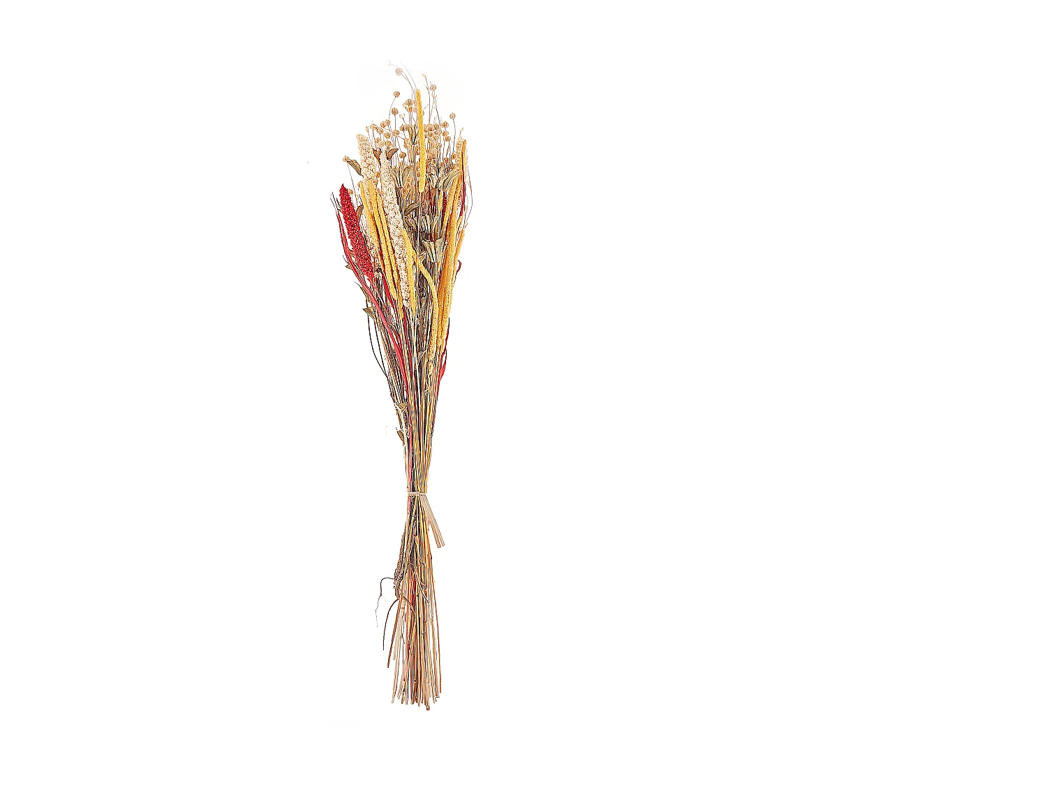 Ramo de flores secas vermelho e amarelo 65 cm PAMPELUNA