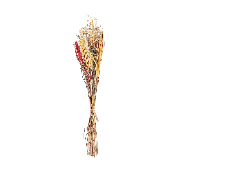 Bouquet de fleurs séchées PAMPELUNA 65 cm Naturel