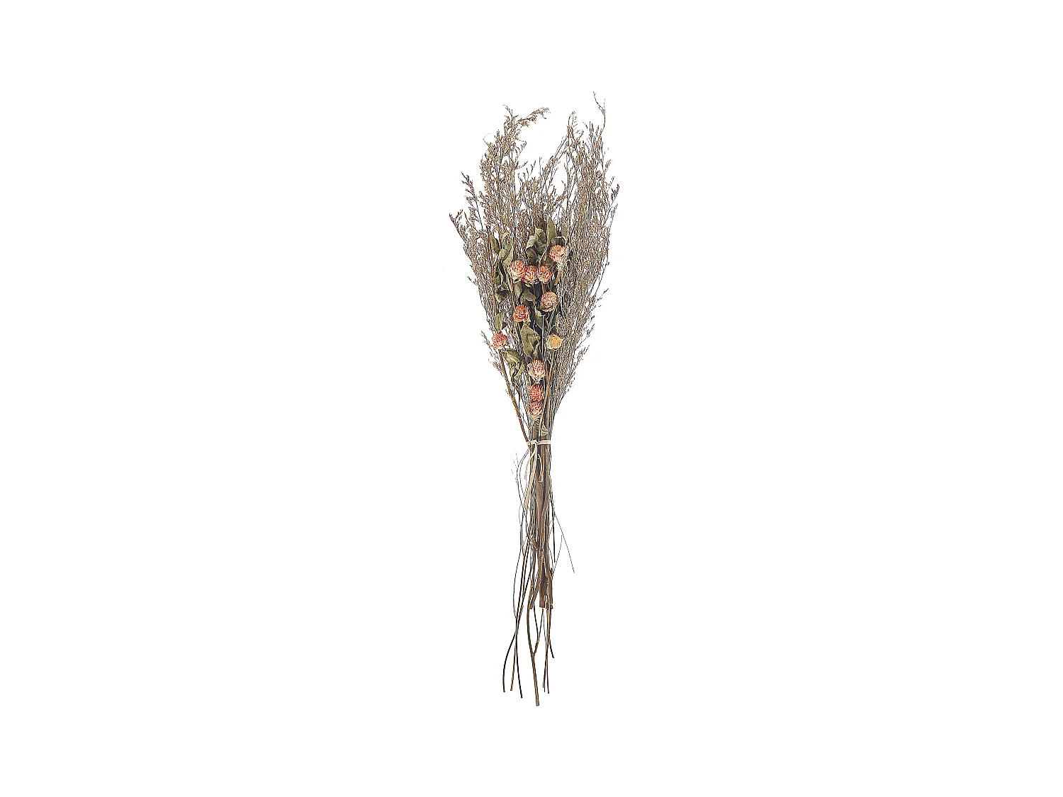 Bouquet de fleurs séchées AZUEL 65 cm Naturel
