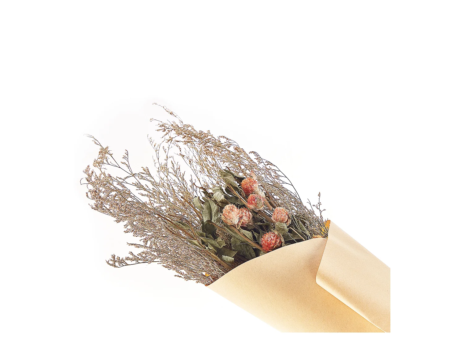 Bouquet de fleurs séchées AZUEL 65 cm Naturel