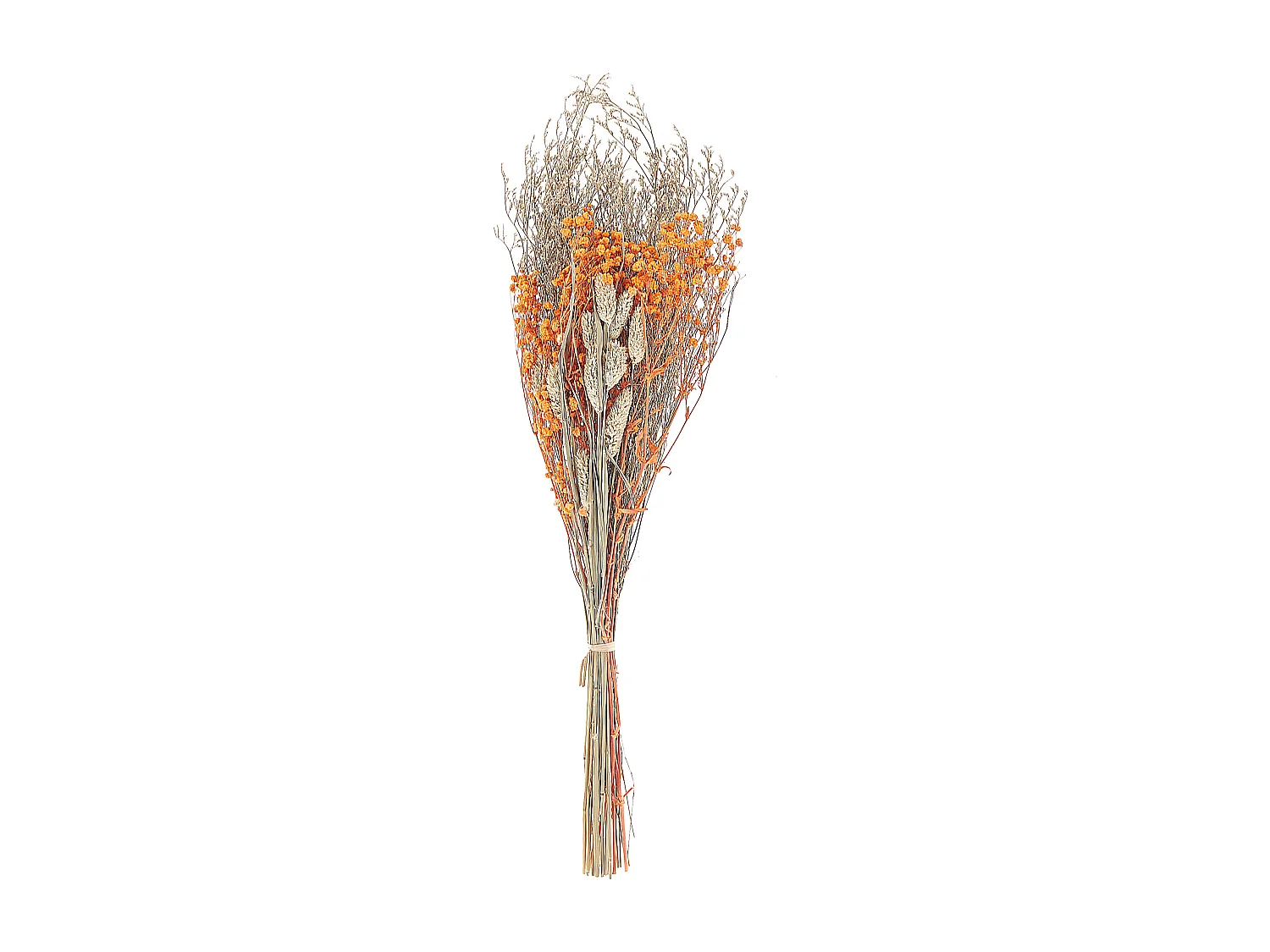 Droogbloemen boeket 65 cm oranje CERCEDILLA