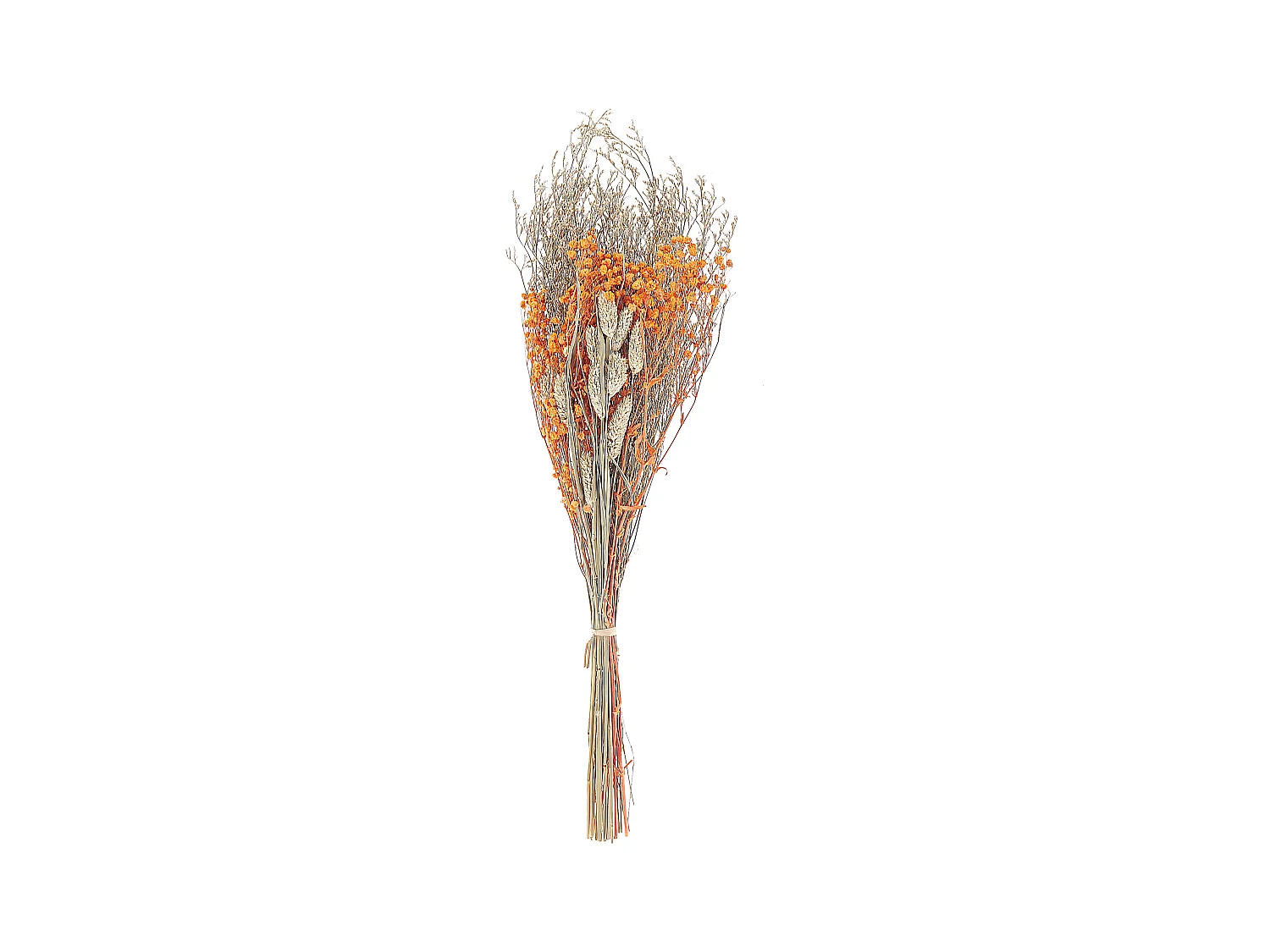 Bouquet de fleurs séchées CERCEDILLA 65 cm Orange