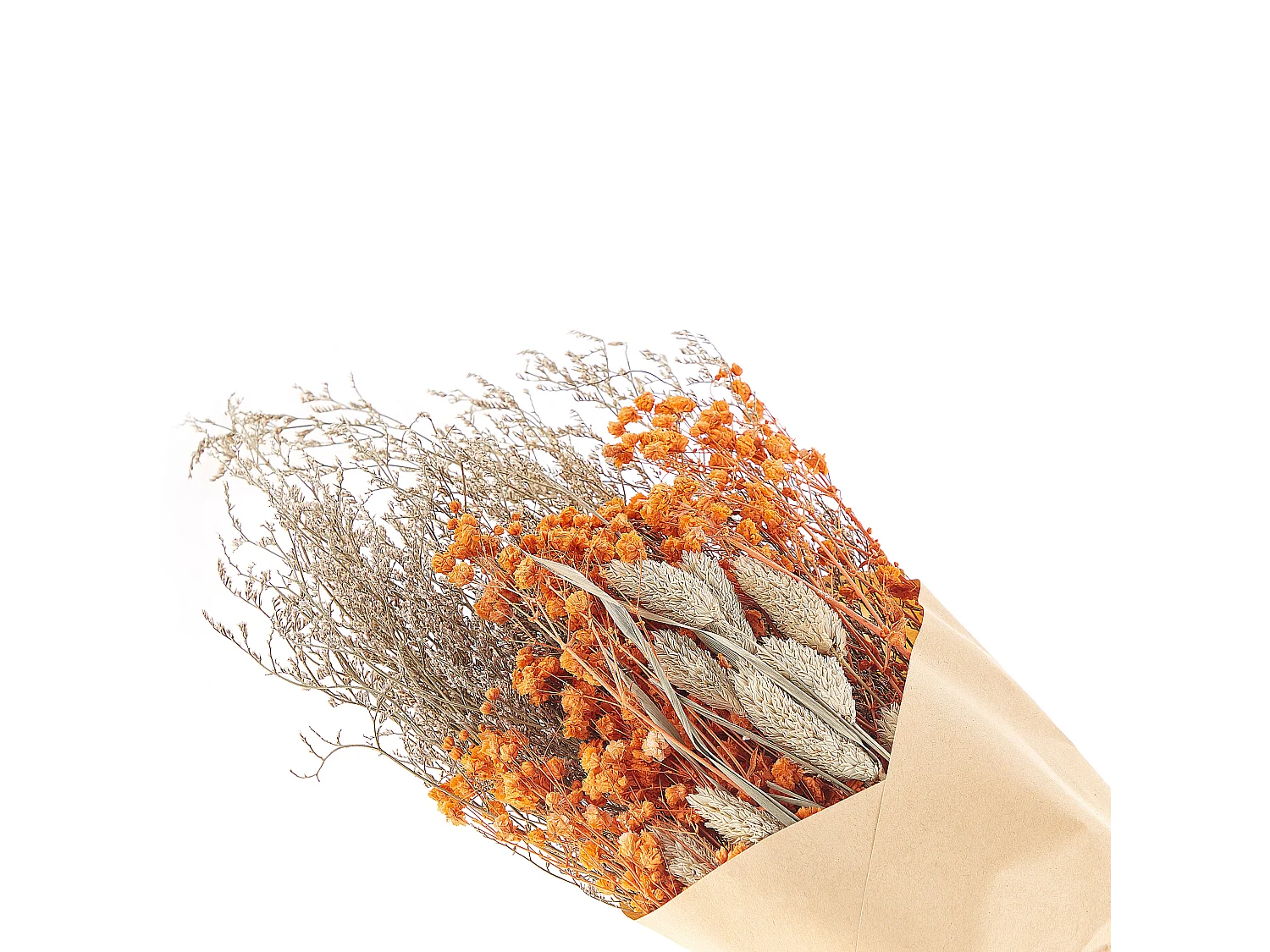 Bouquet de fleurs séchées CERCEDILLA 65 cm Orange