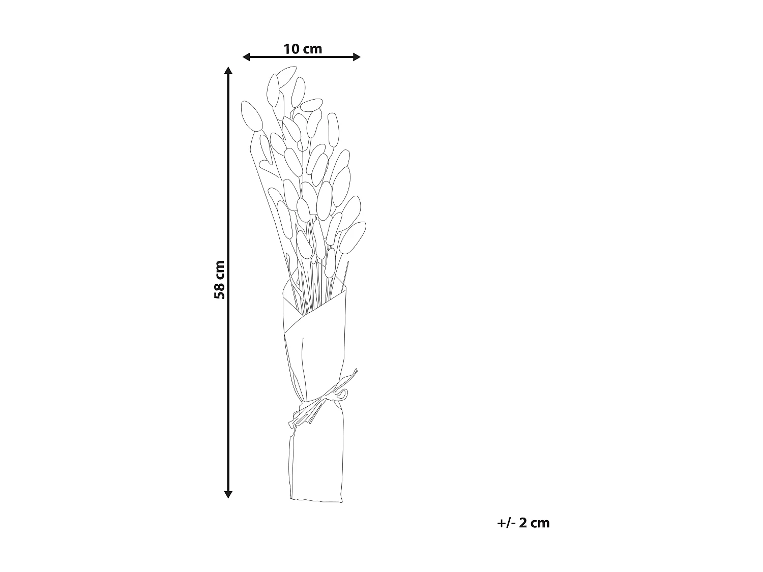 Bukiet suszonych kwiatów 58 cm naturalny SANABRIA