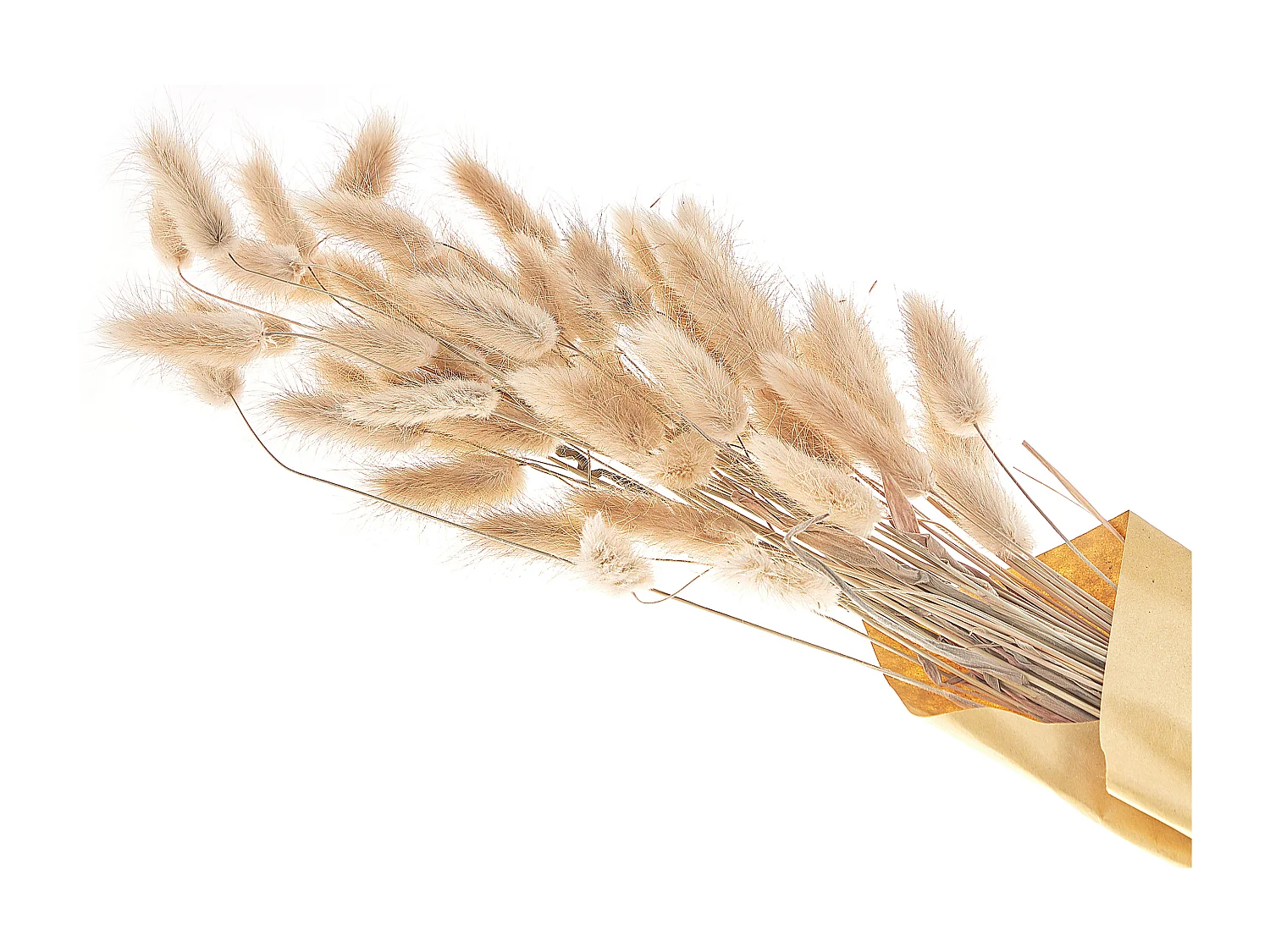 Bukiet suszonych kwiatów 58 cm naturalny SANABRIA