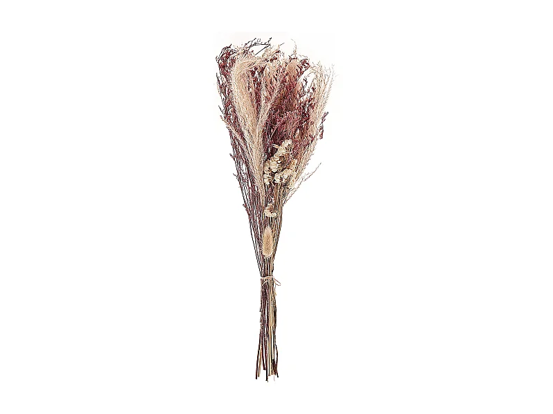 Trockenblumen rosa / naturfarben 50 cm ZAMORA