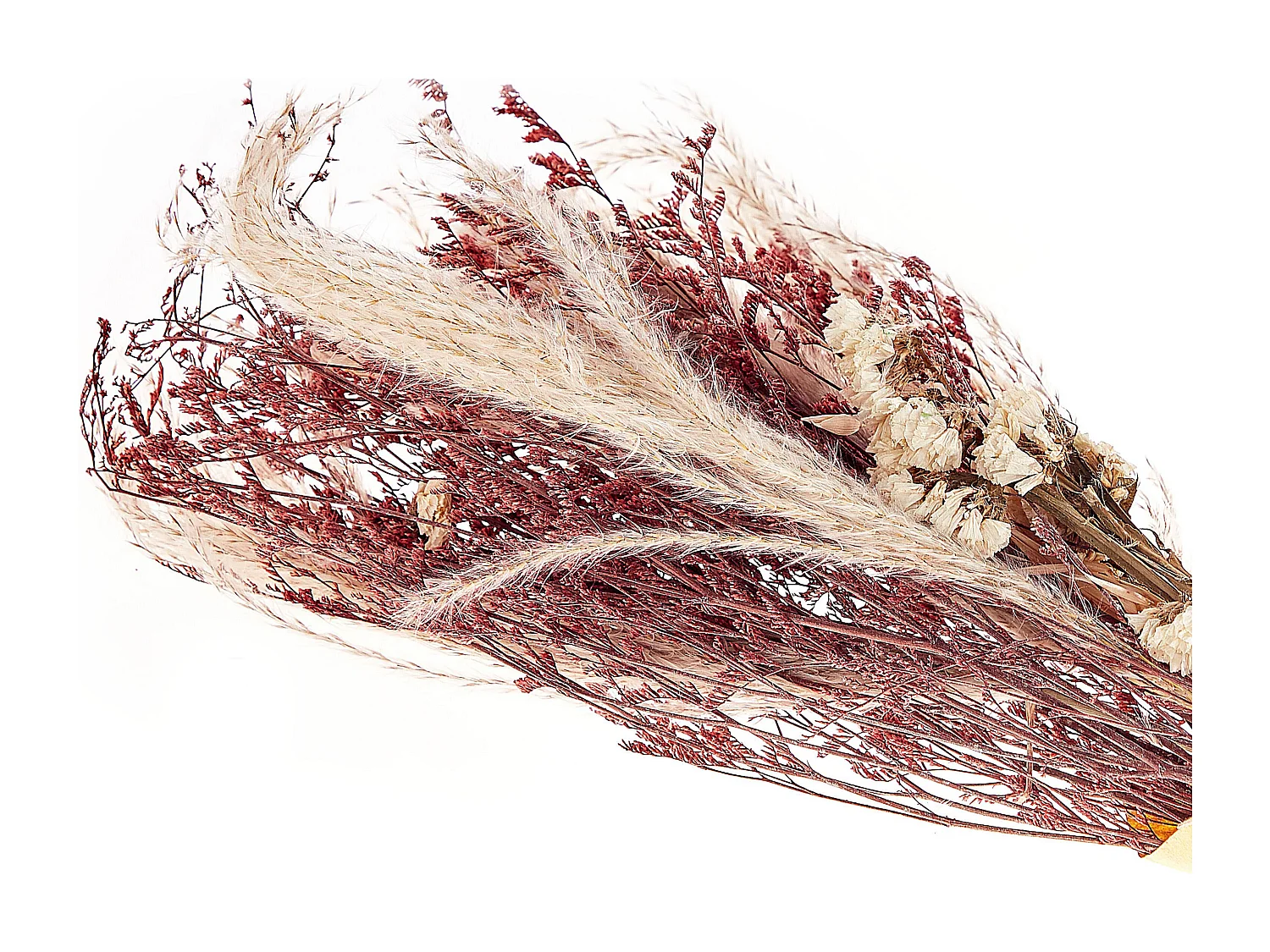 Bouquet de fleurs séchées ZAMORA 50 cm Rose