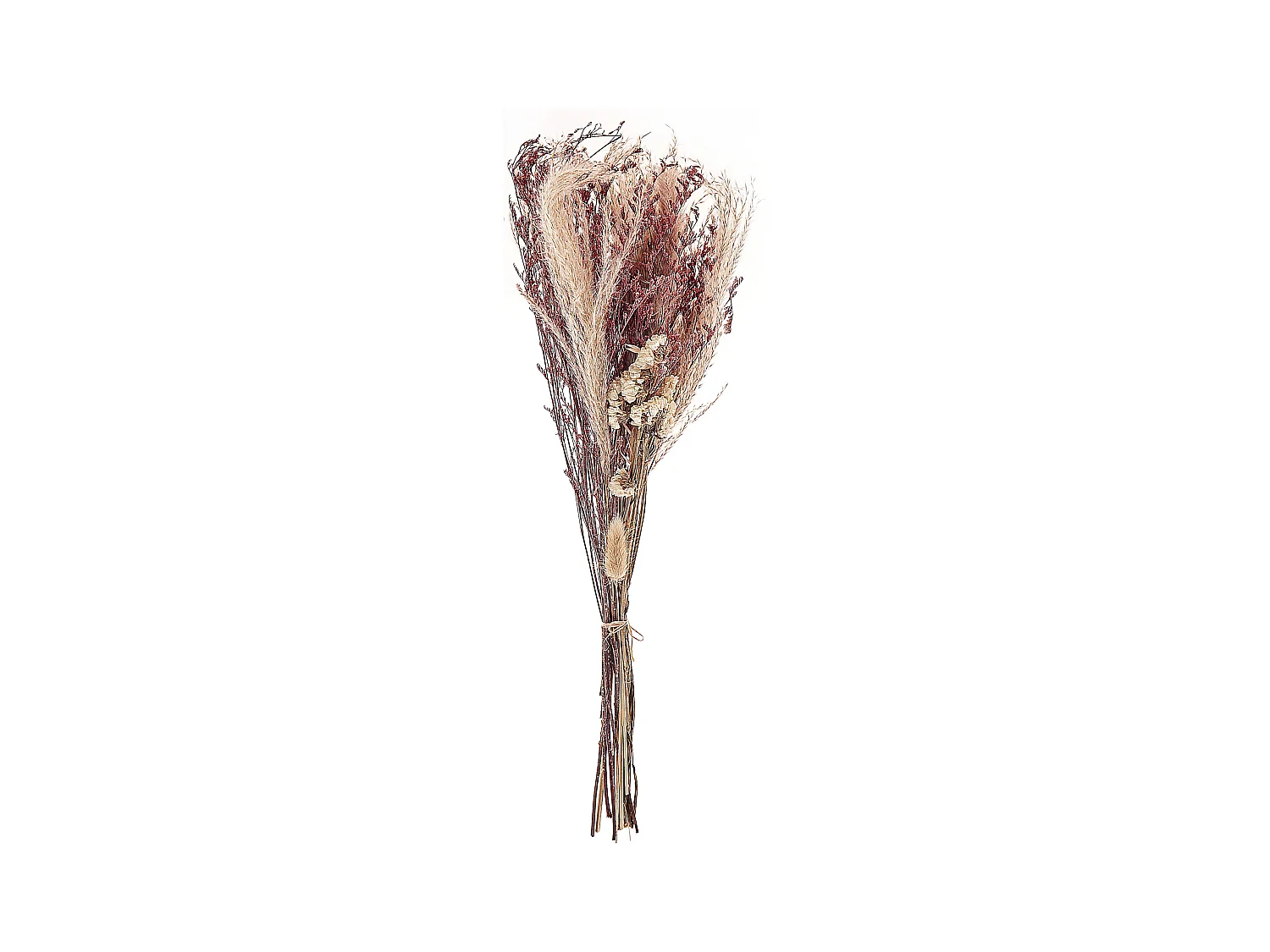 Bouquet de fleurs séchées ZAMORA 50 cm Rose