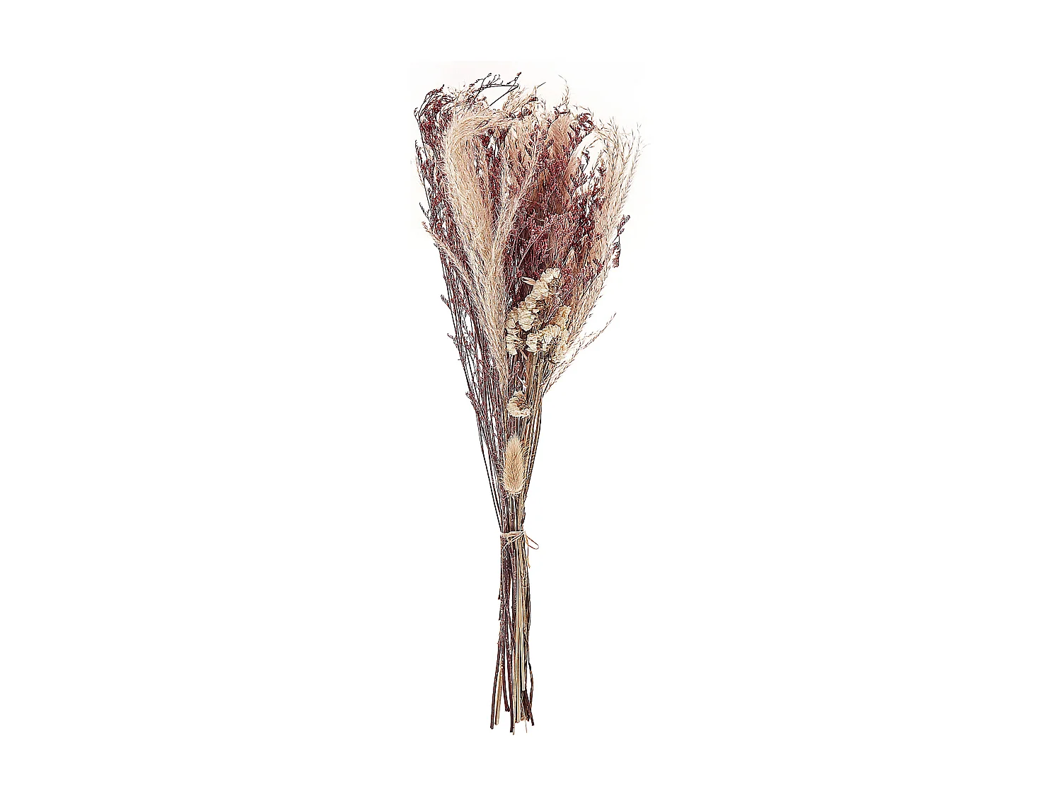 Bouquet de fleurs séchées 50 cm rose ZAMORA