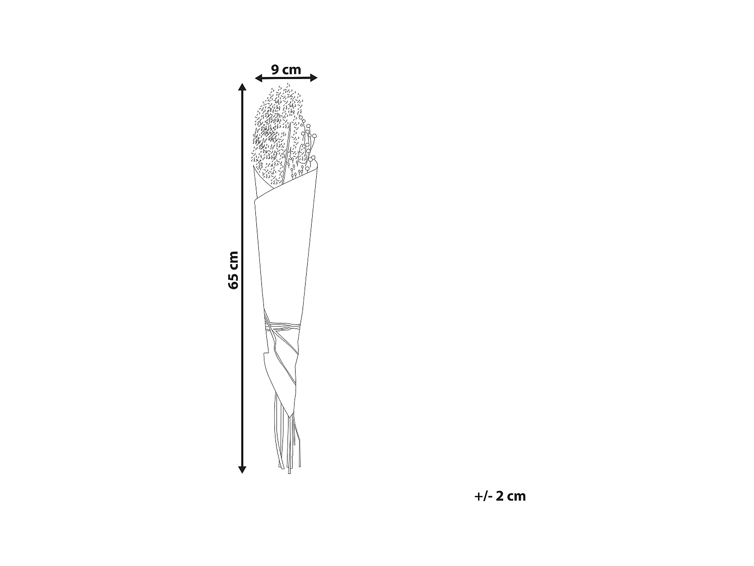 Bouquet de fleurs séchées BRUNETE 65 cm Naturel
