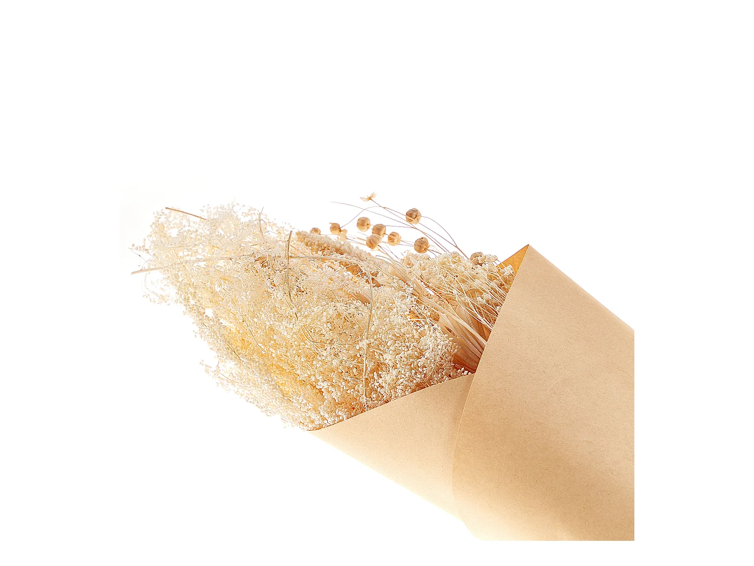 Bouquet de fleurs séchées BRUNETE 65 cm Naturel