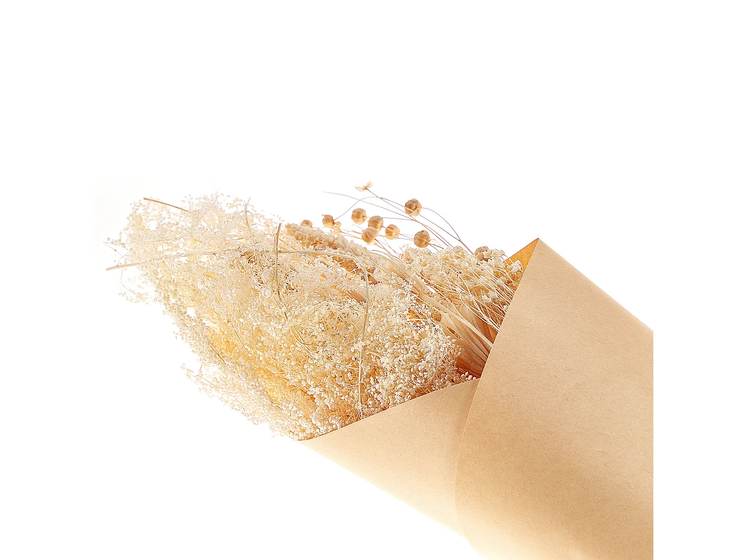 Trockenblumen naturfarben / braun 65 cm BRUNETE