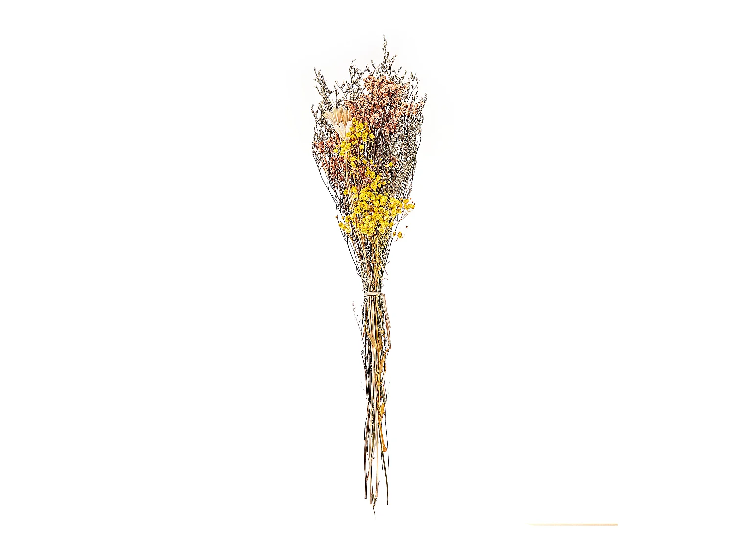 Bouquet de fleurs séchées CARTAYA 65 cm Naturel