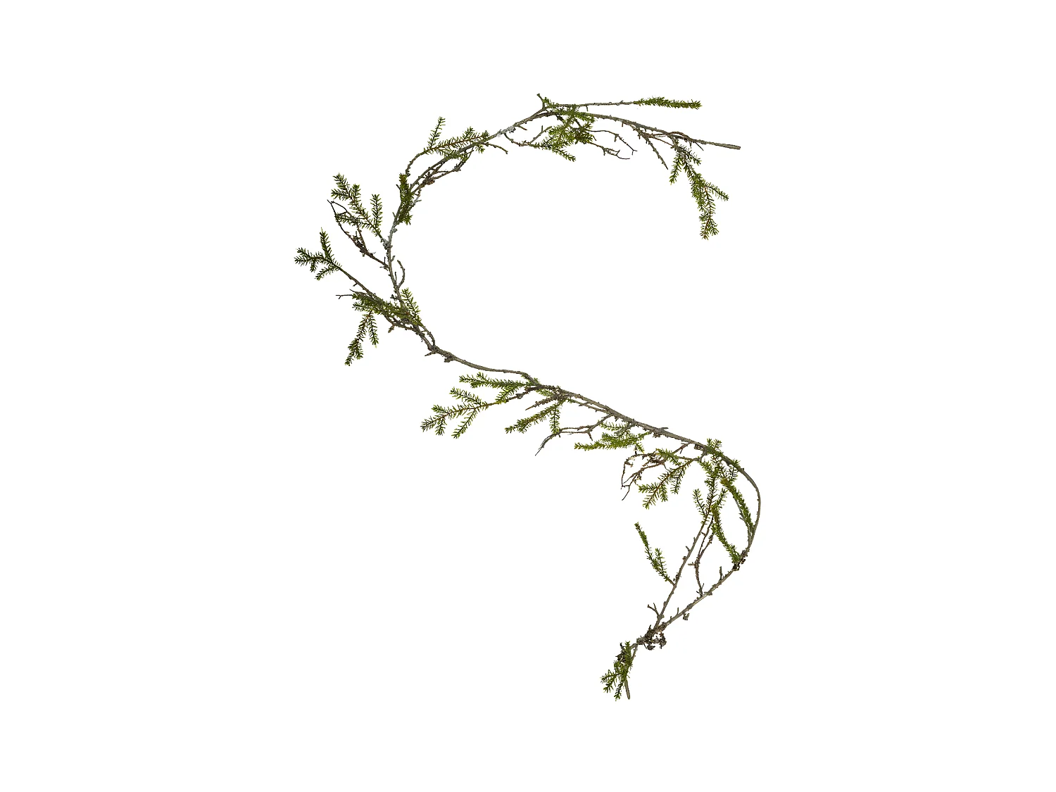 Guirlande de Pin - Vert