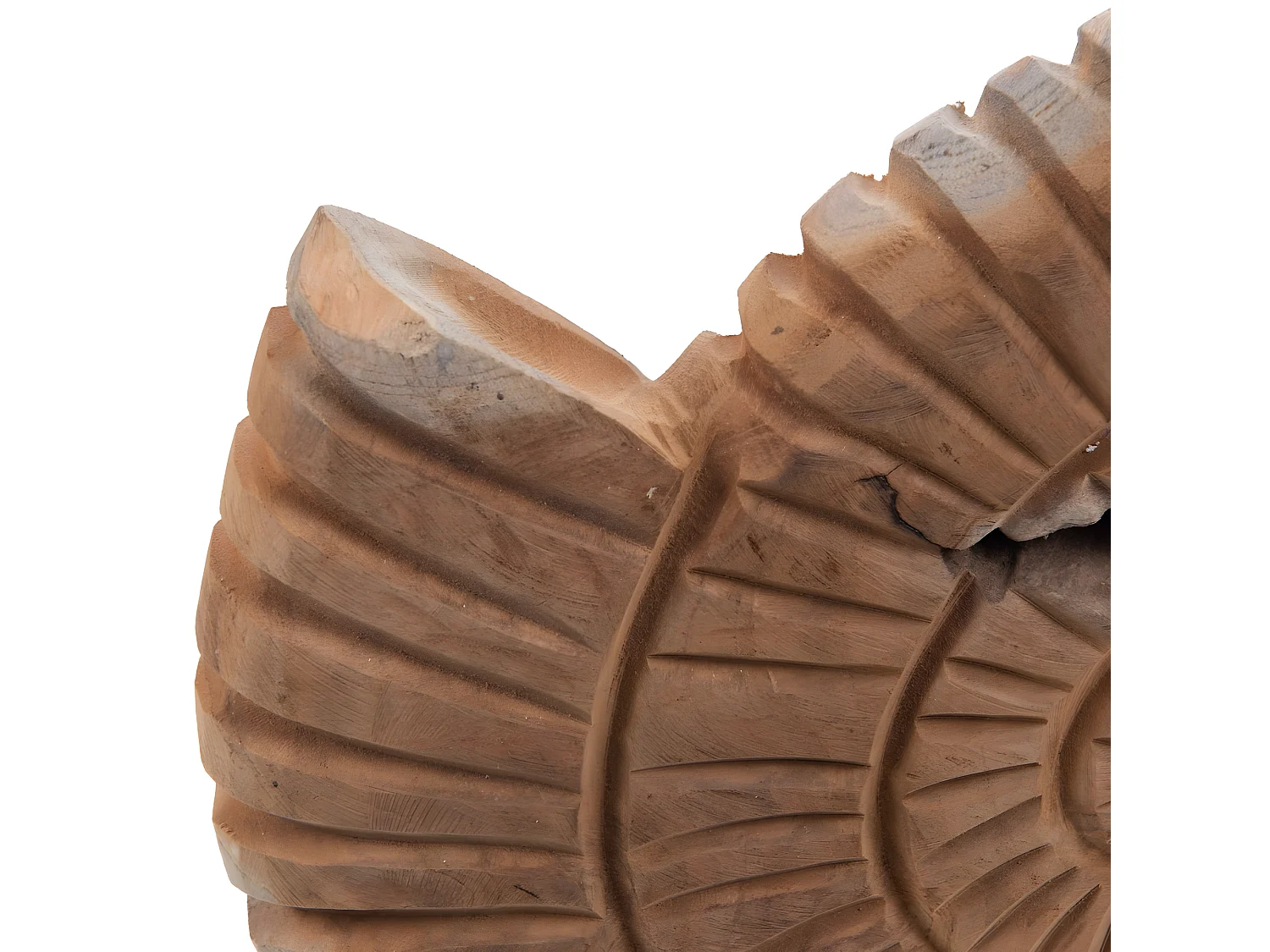 Décoration coquillage en bois