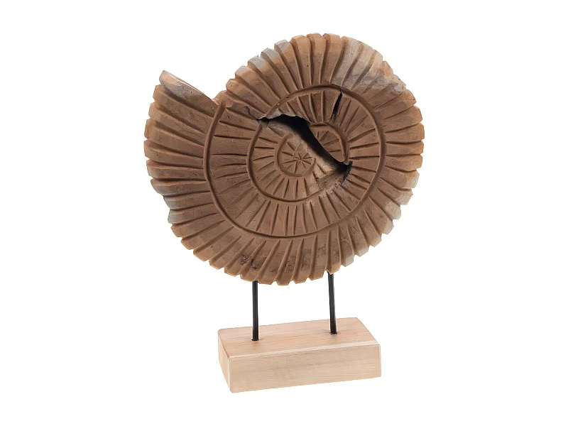 Décoration coquillage en bois