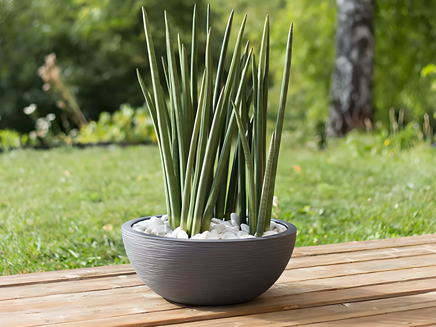 Pot de fleur Vasque Graphit Anthracite - Eda