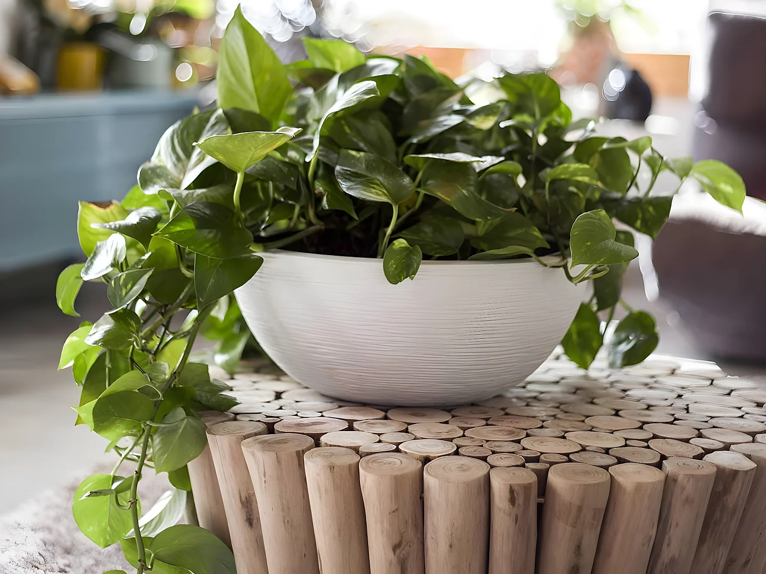 Pot de fleur Vasque Graphit Blanc cérusé - Eda