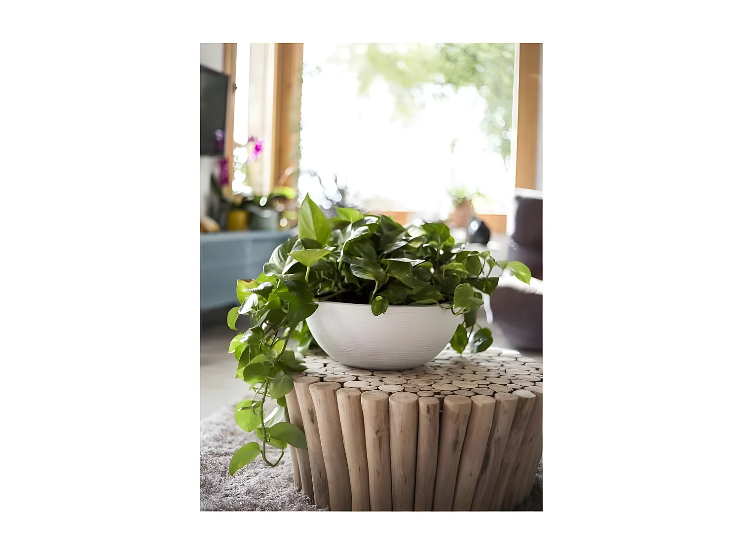 Pot de fleur Vasque Graphit Blanc cérusé - Eda