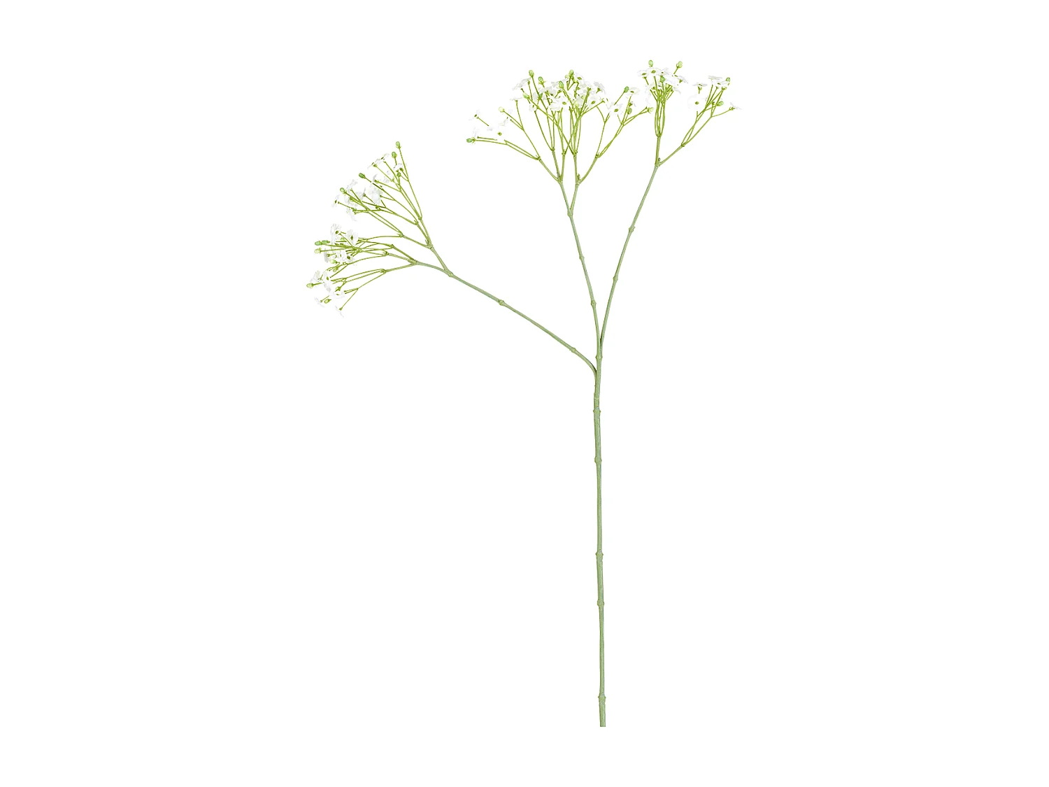 Tige de Gypsophile - Rose pâle