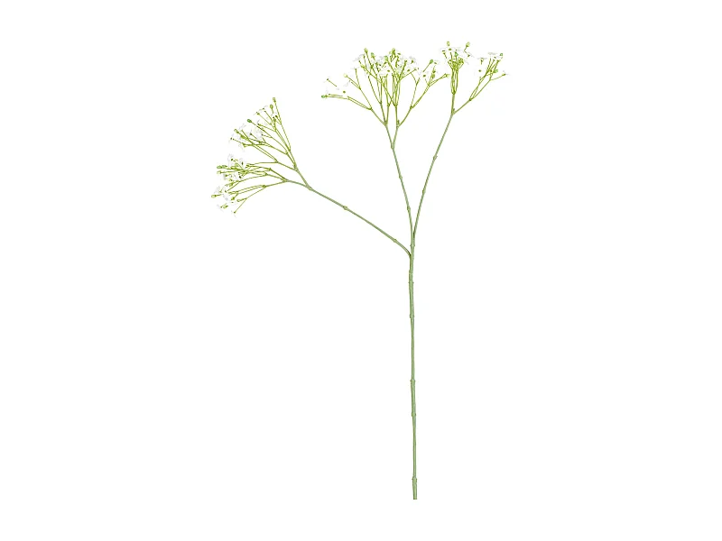 Tige de Gypsophile - Rose pâle