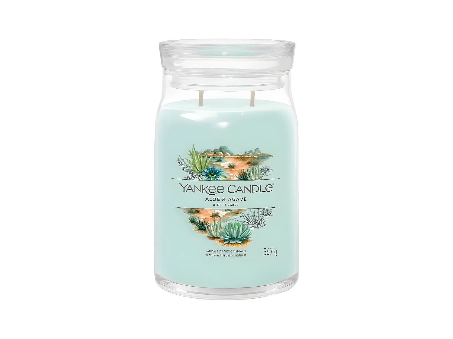 Bougie signature Aloe et Agave modèle moyen