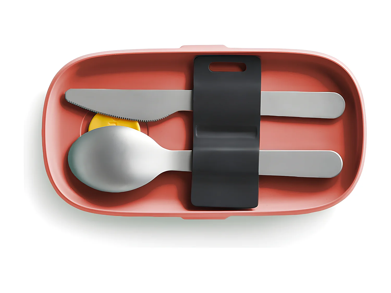 Lunchbox To go corail